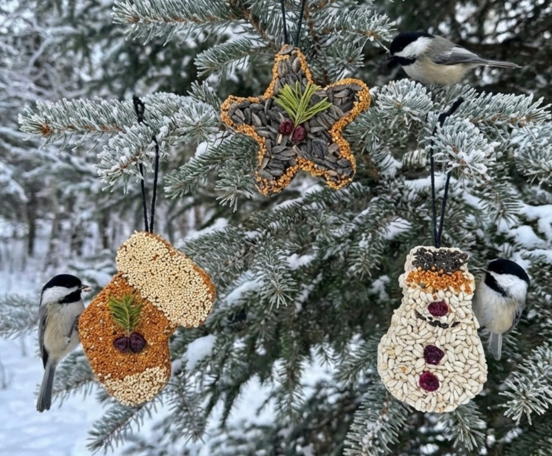 The Feathered Feast – Handmade Birdseed Ornaments, Set of 3