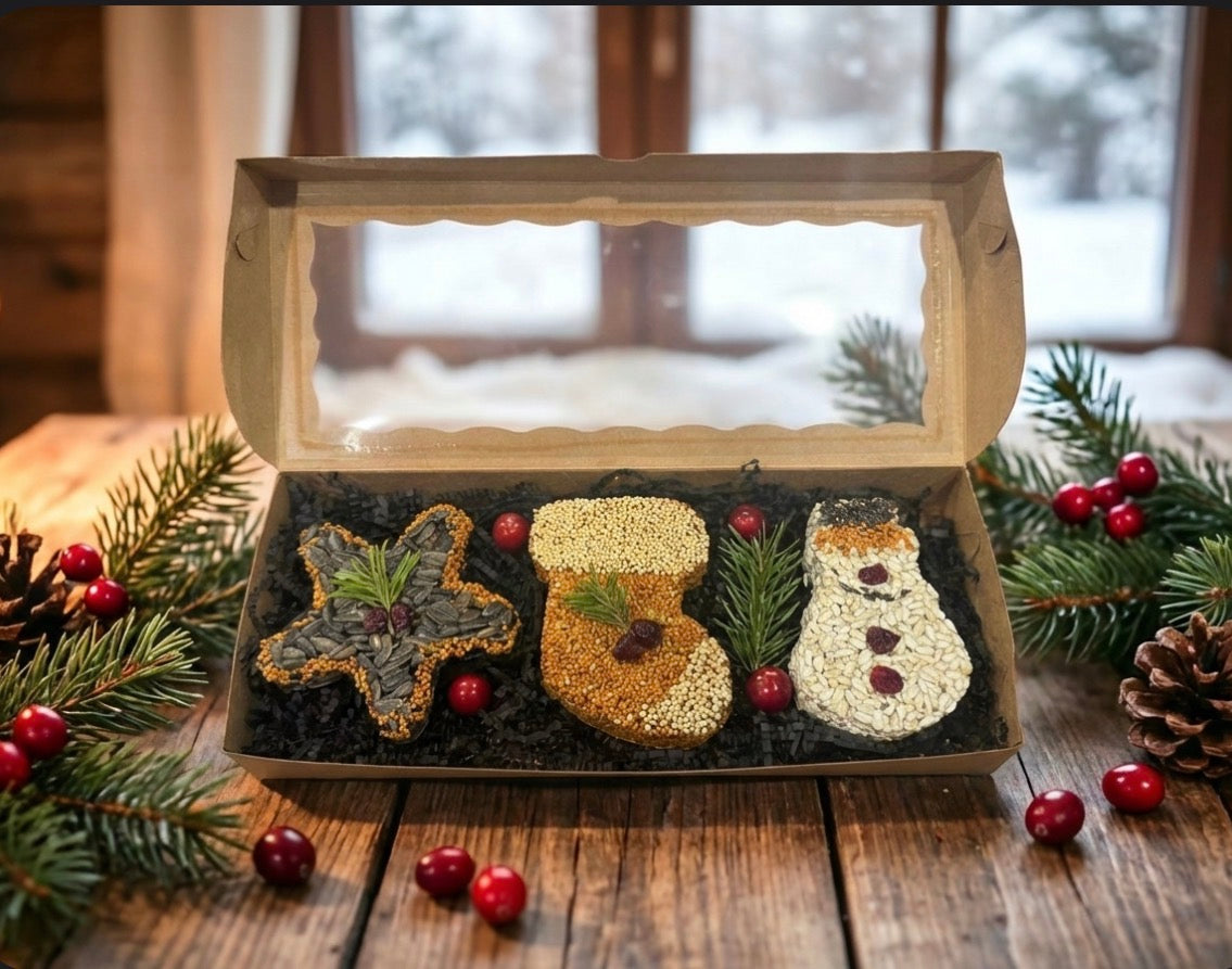 The Feathered Feast – Handmade Birdseed Ornaments, Set of 3