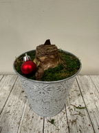 DIY Amaryllis Centerpiece Gift Kit – Peruvian 'Andes Fire' Red Bulb, Nordic Metal Pot, Moss & Pinecones